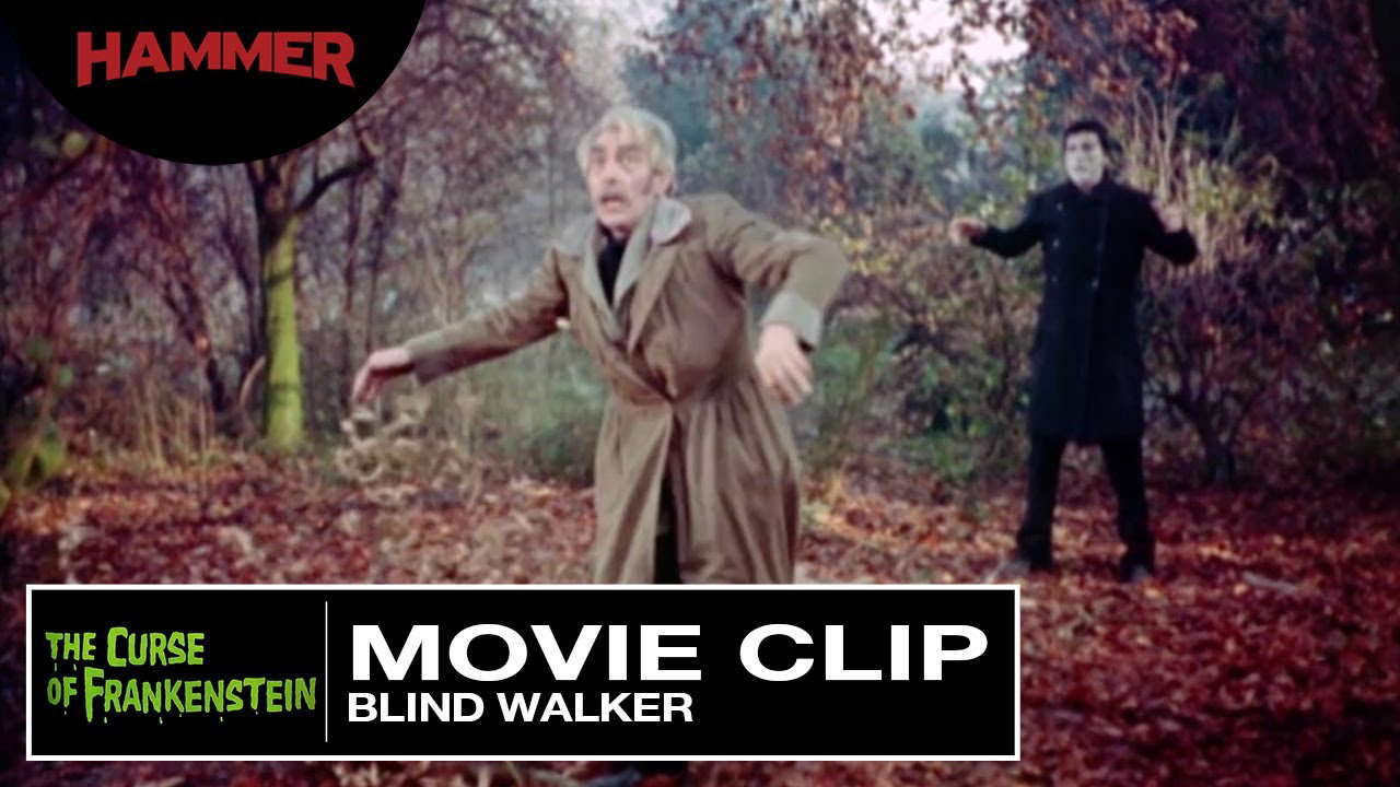 Blind Walker
