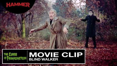 Blind Walker poster
