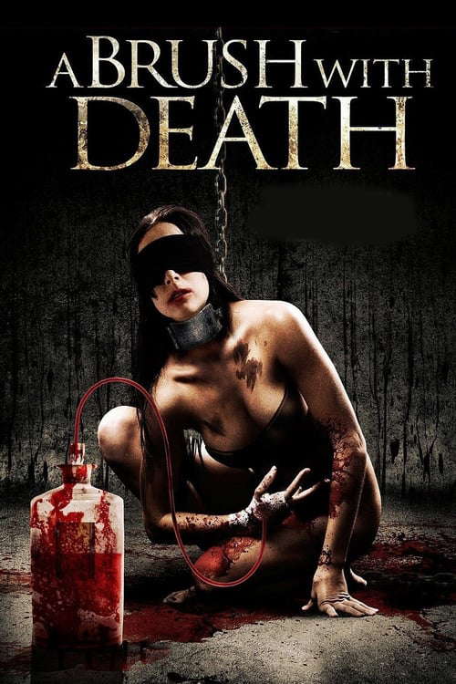 A Brush With Death poster