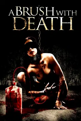 A Brush With Death poster