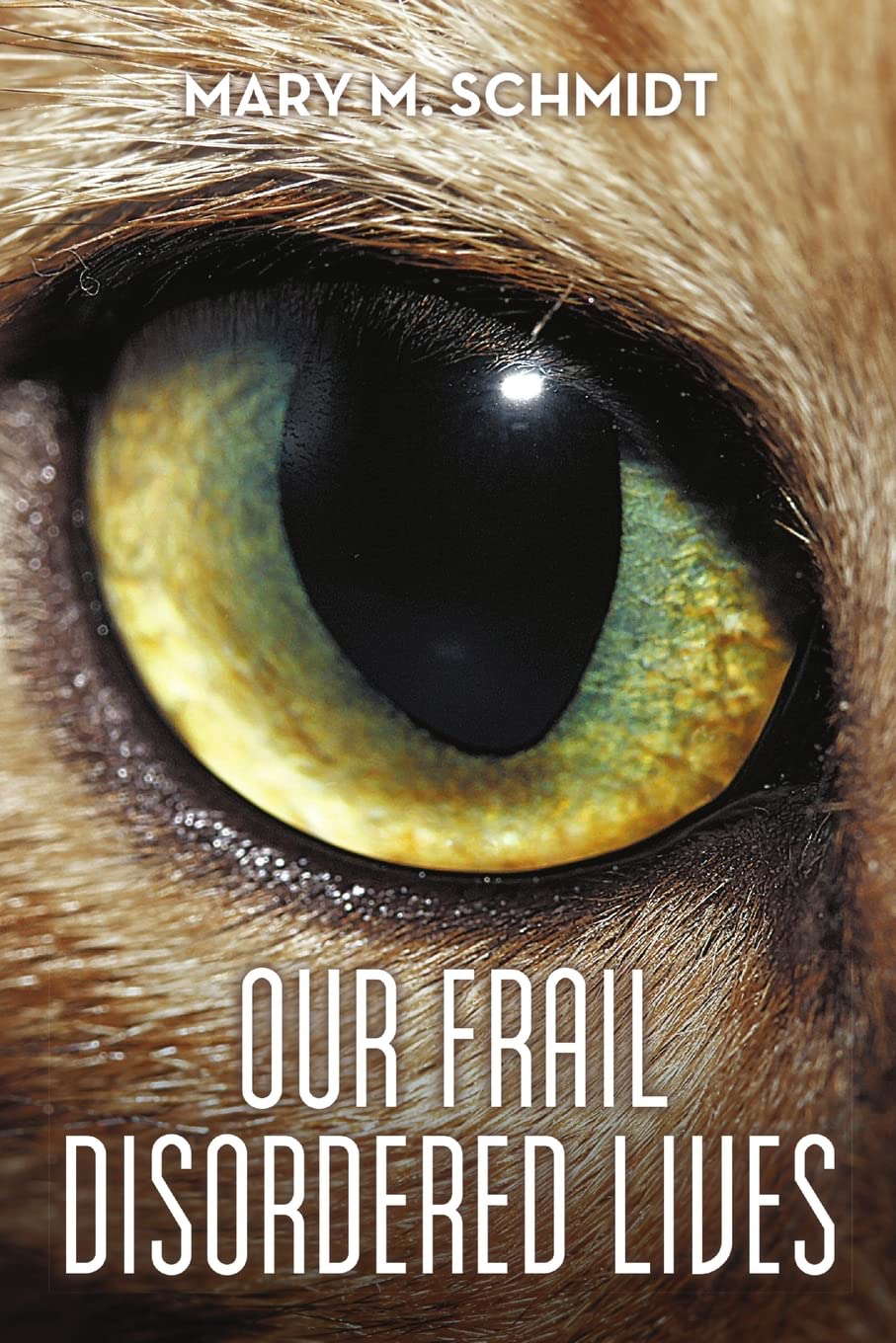 Our Frail Disordered Lives poster