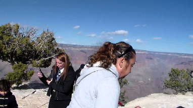 Stupidity at the Grand Canyon poster