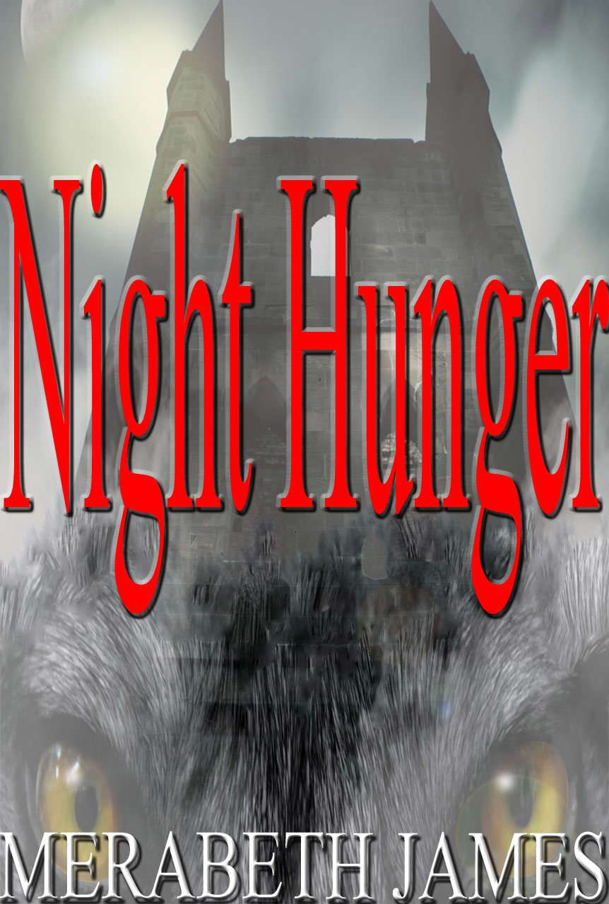 Night Hunger (A Ravynne Sisters Paranormal Thriller Book 7) poster