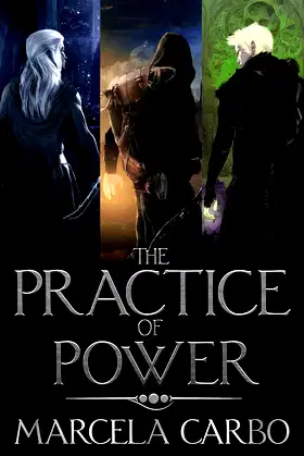 The Practice of Power: Complete Series poster