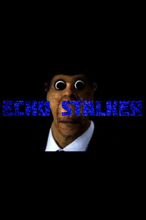 Echo Stalker poster