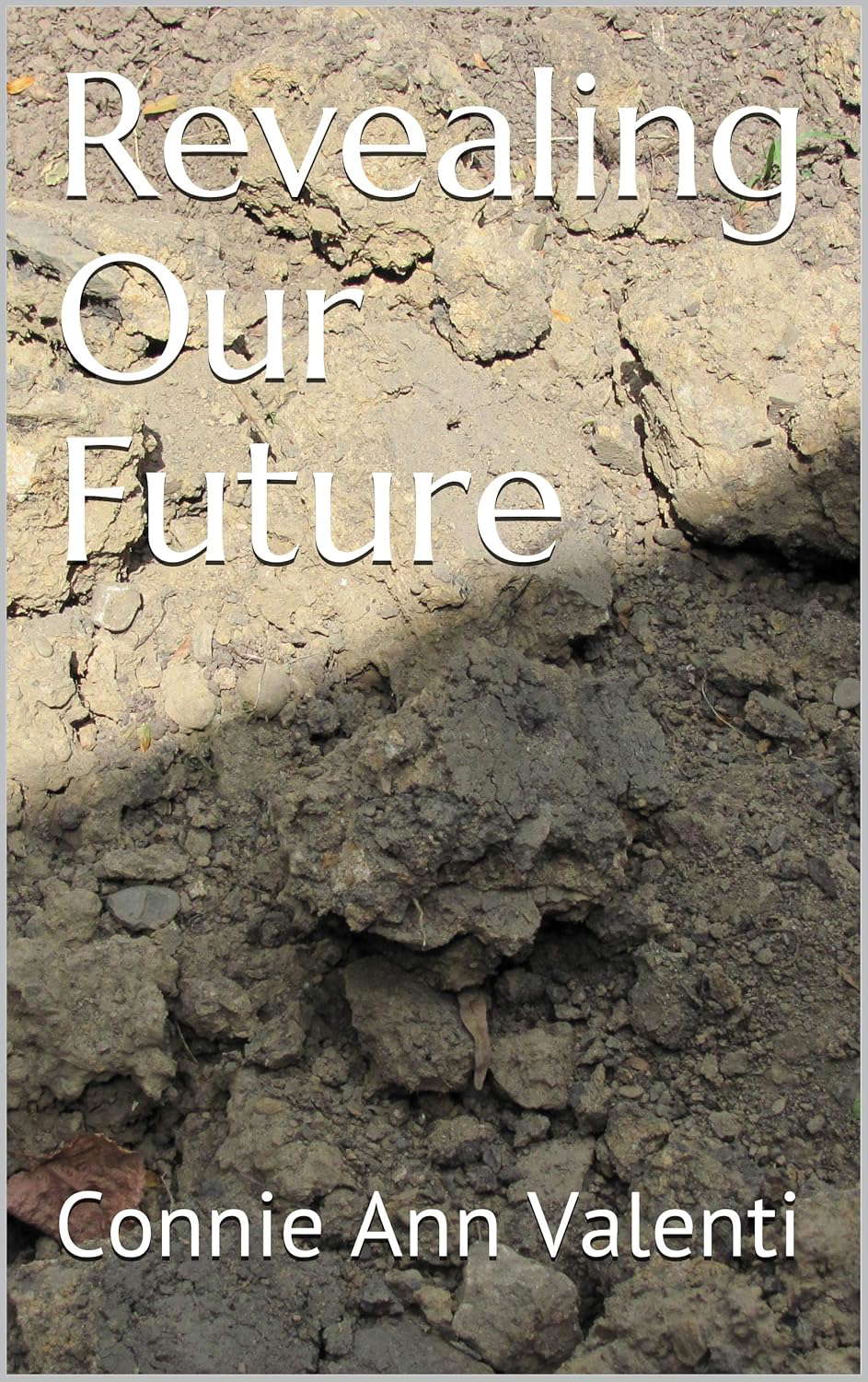 Revealing Our Future poster