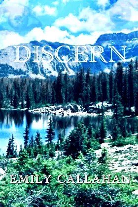 Discern poster