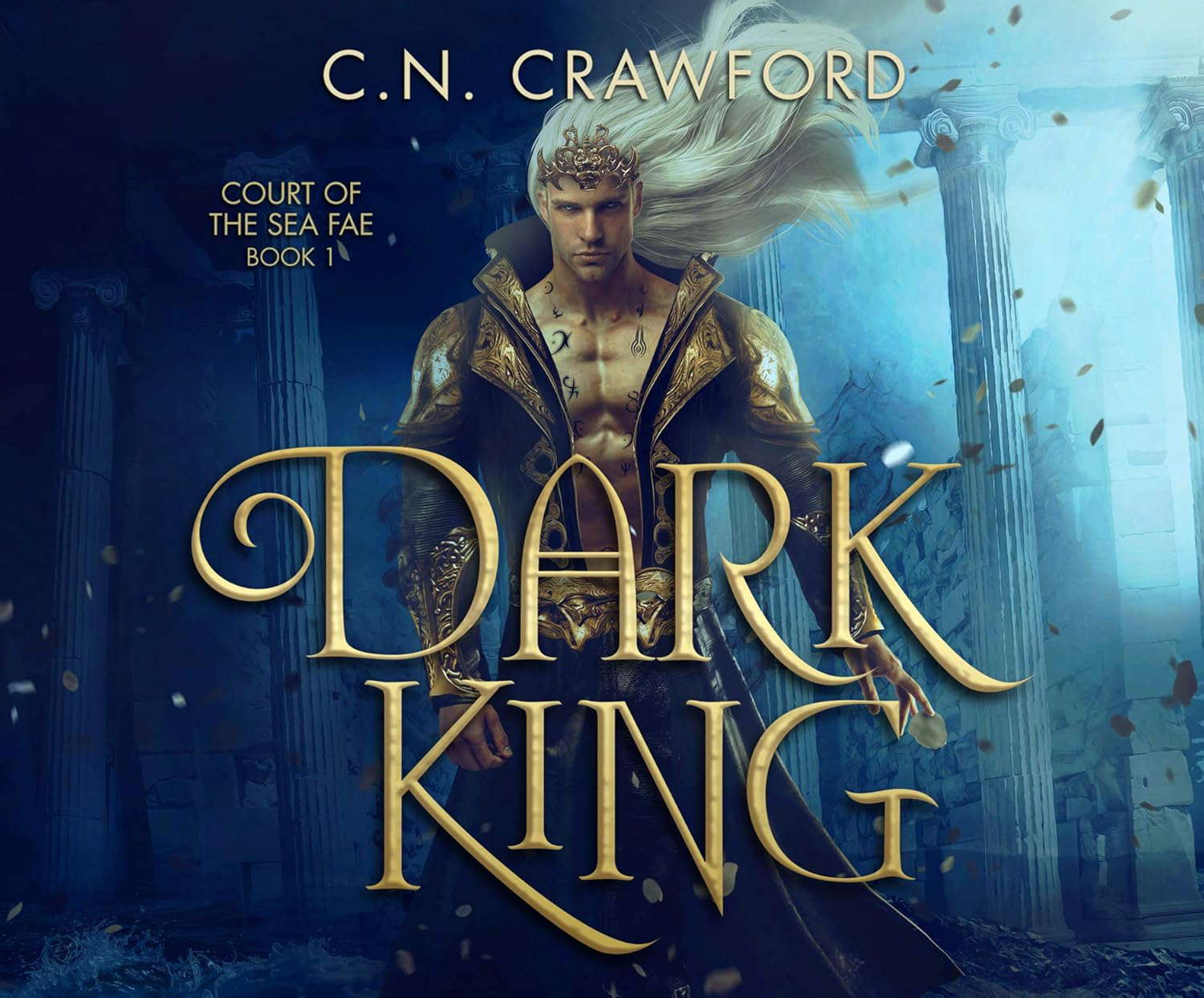 Dark King (Court of the Sea Fae, 1) poster