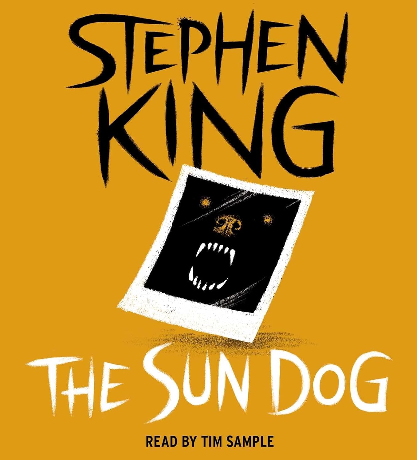 The Sun Dog poster