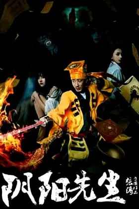 Mr Yin Yan poster