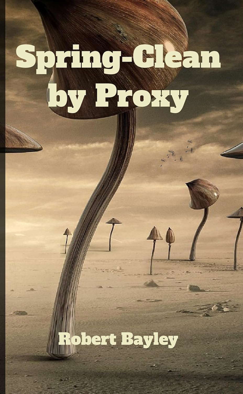 Spring-Clean by Proxy poster