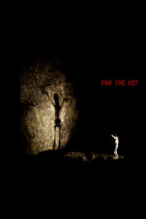 Find The Key poster