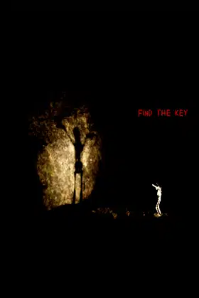 Find The Key poster