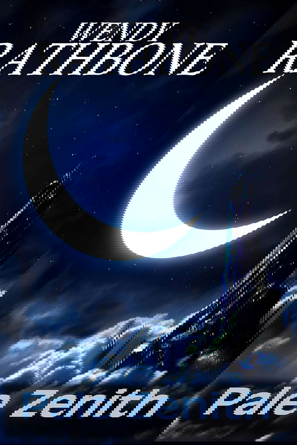 Pale Zenith poster