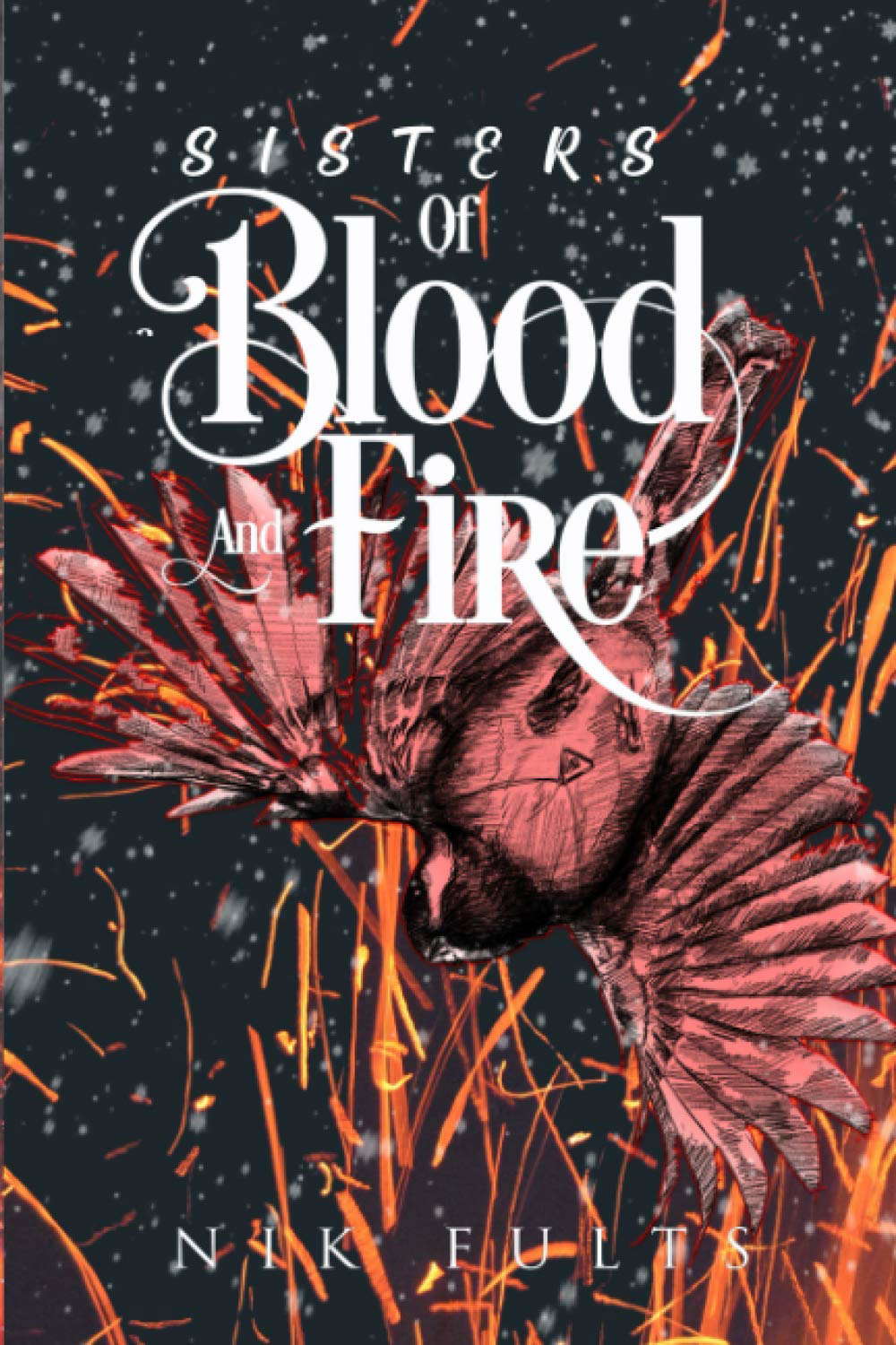 Sisters Of Blood & Fire poster