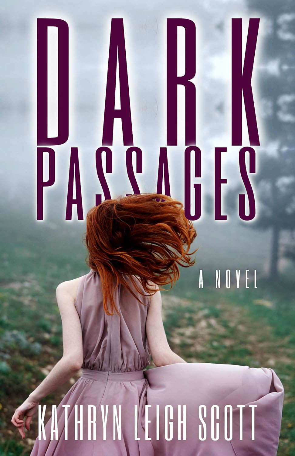 Dark Passages: A Novel poster
