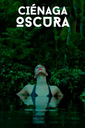 Dark Swamp poster
