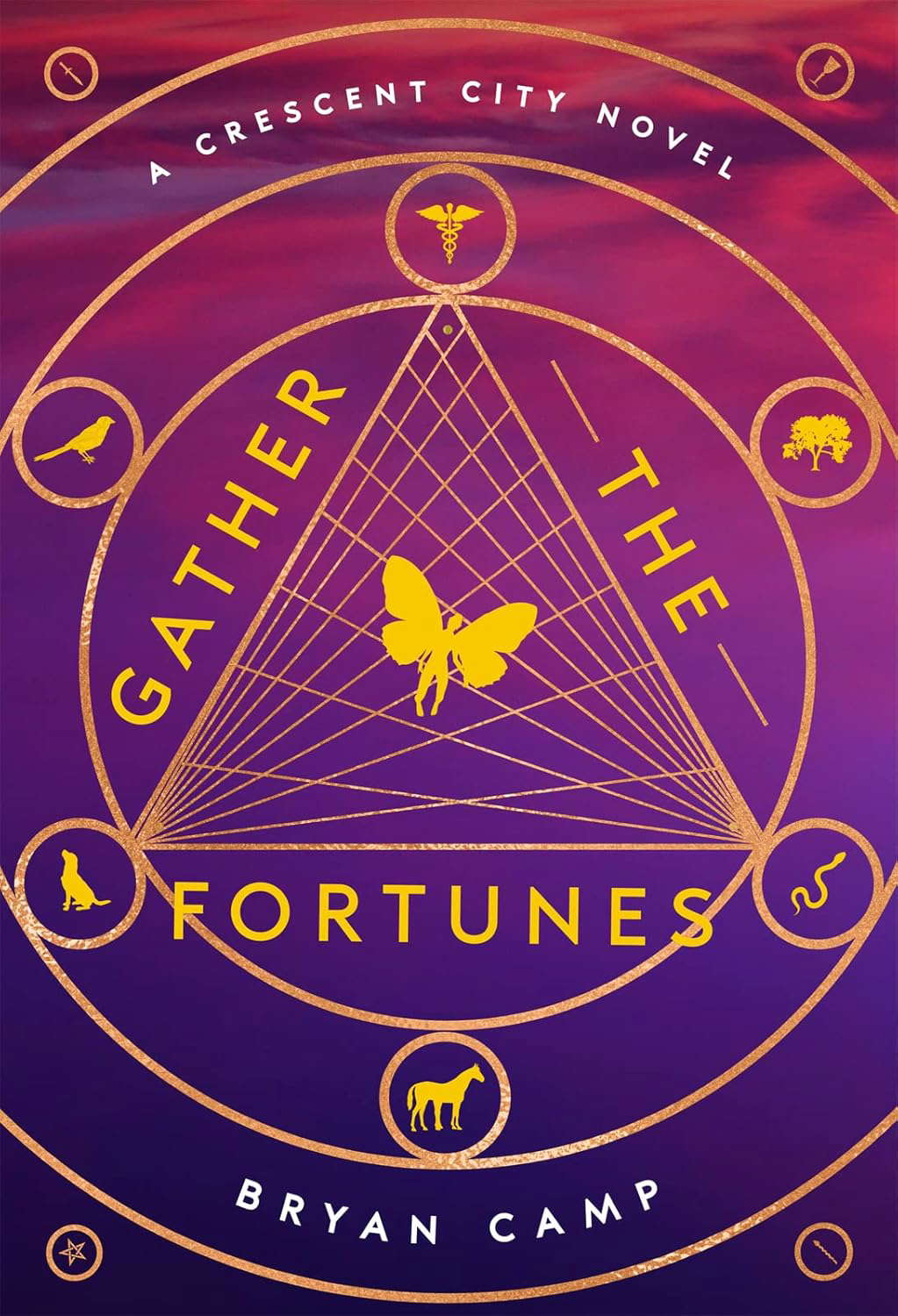 Gather The Fortunes (A Crescent City Novel) poster