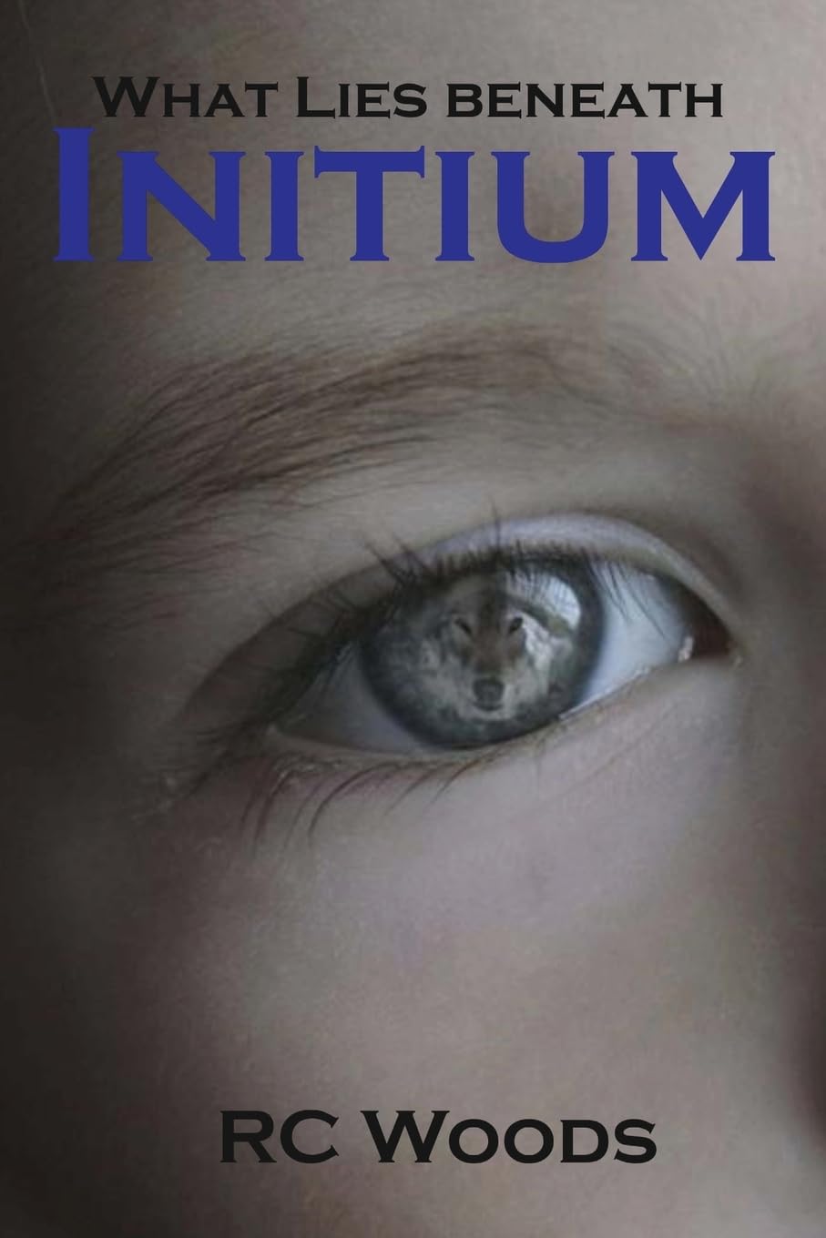 Initium: What Lies Beneath (What Lies Beneath - The Brothers Series) poster