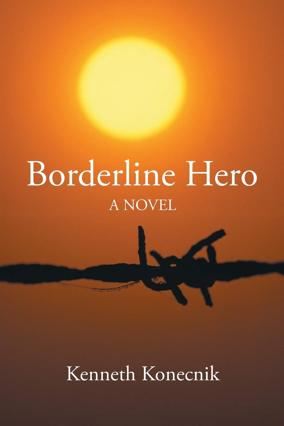 Borderline Hero: A NOVEL poster
