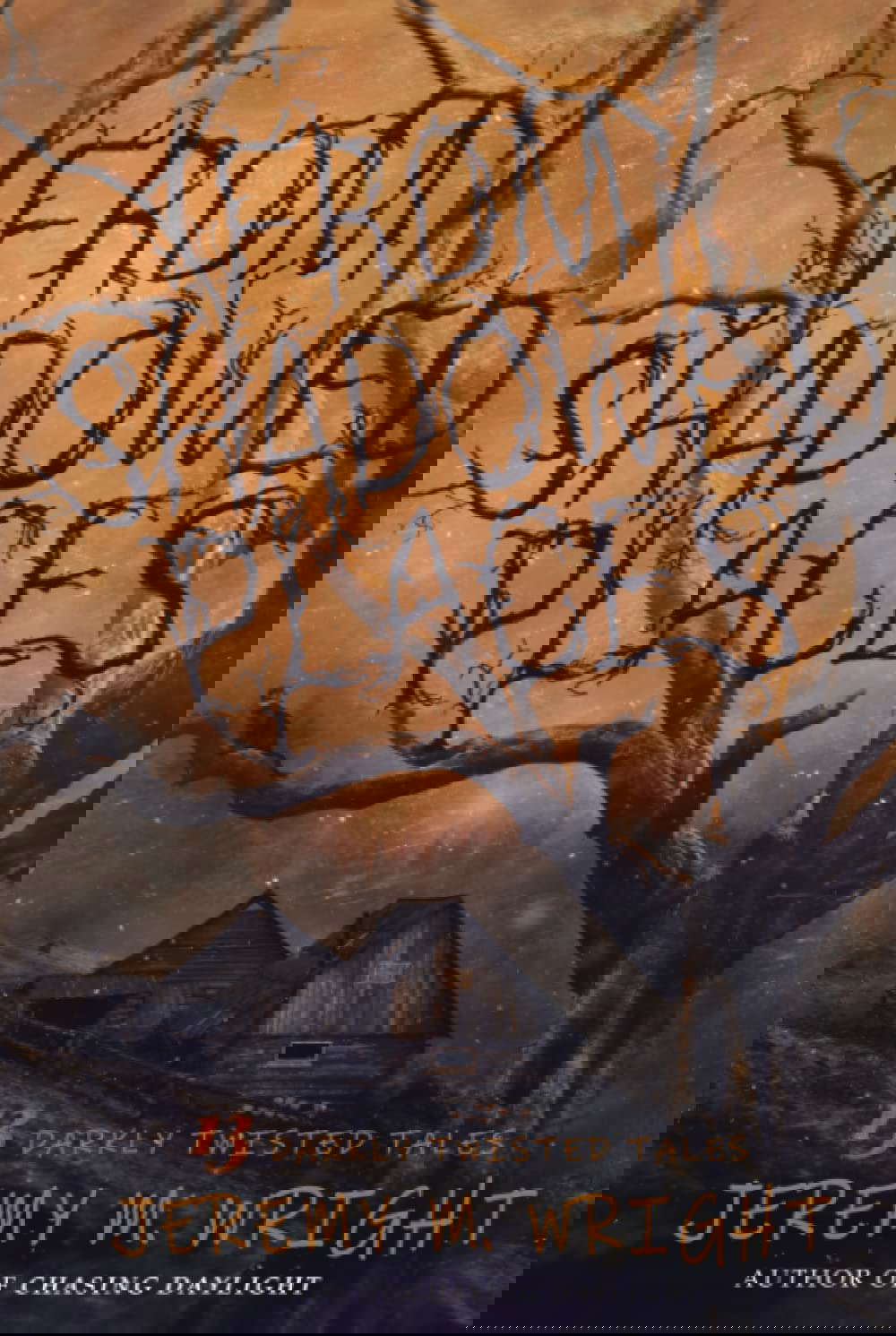 From Shadowed Places: 13 Darkly Twisted Tales poster