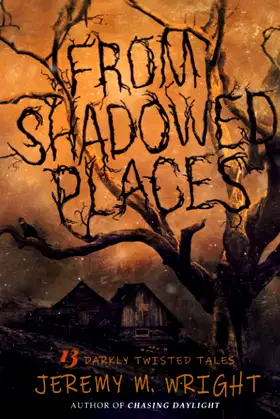 From Shadowed Places: 13 Darkly Twisted Tales poster