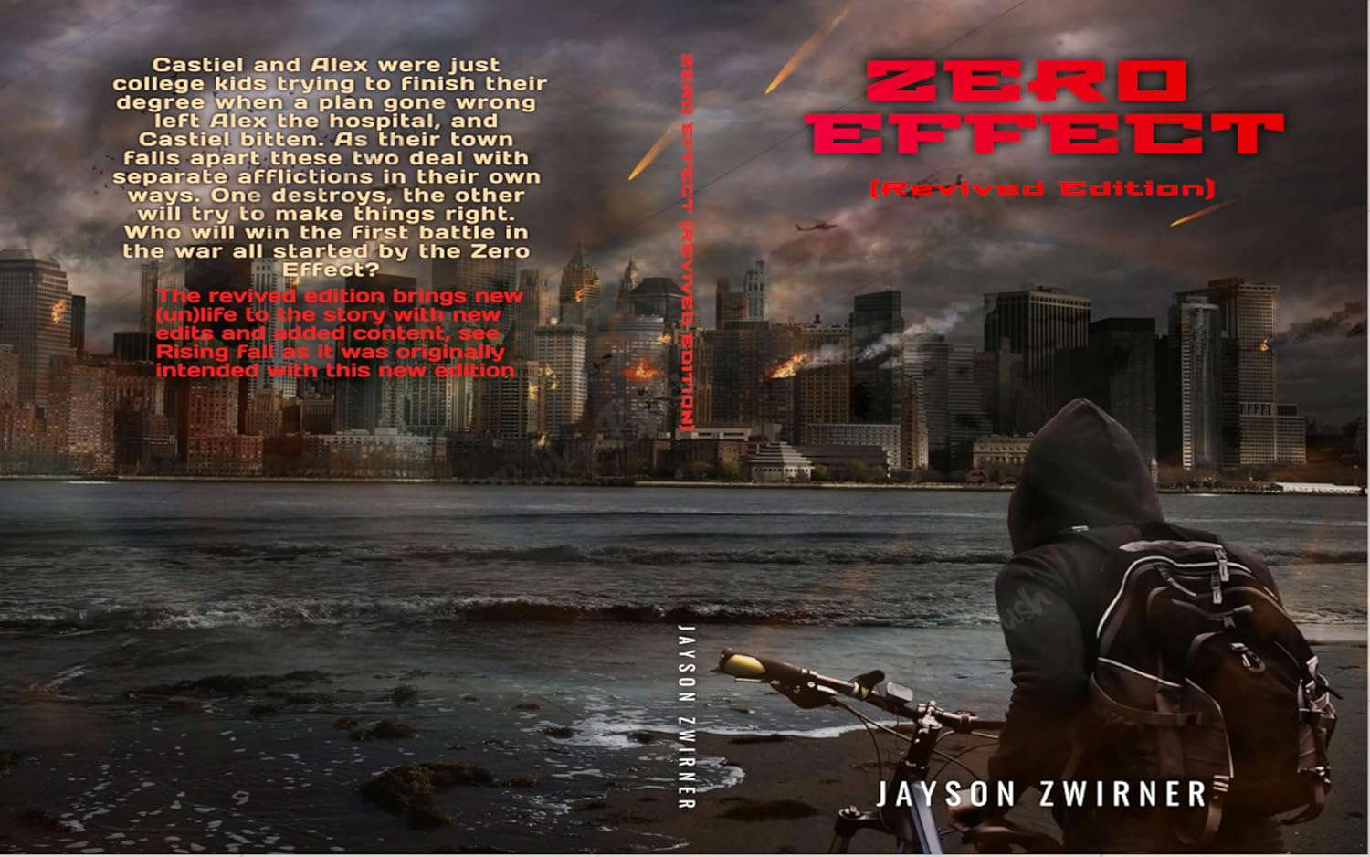 Zero Effect (Revived edition): Book 1 of the Rising Fall Series poster