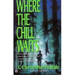 Where the Chill Waits poster