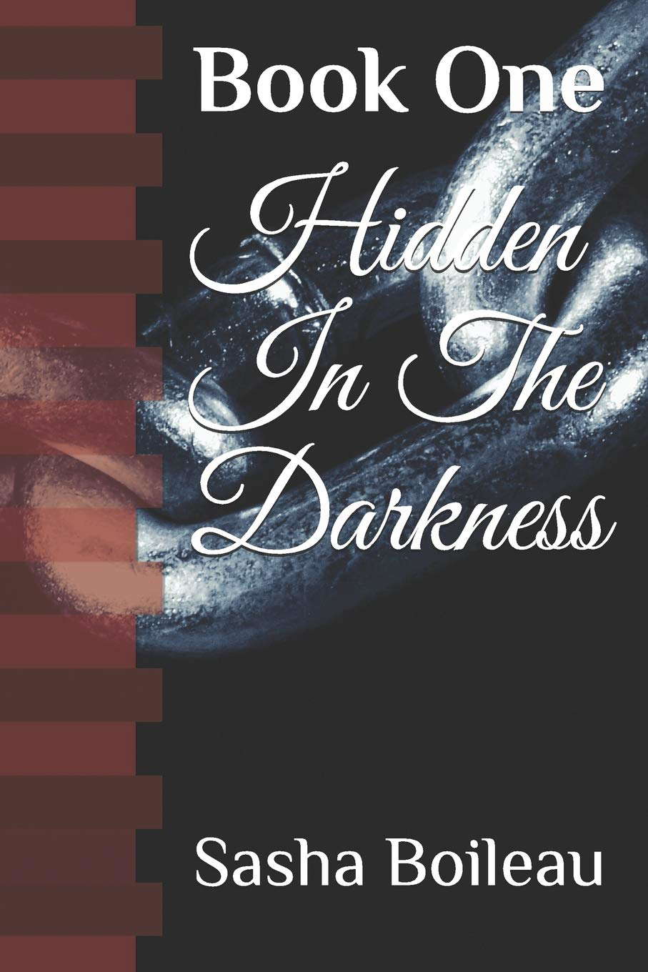 Hidden In The Darkness: Book One poster