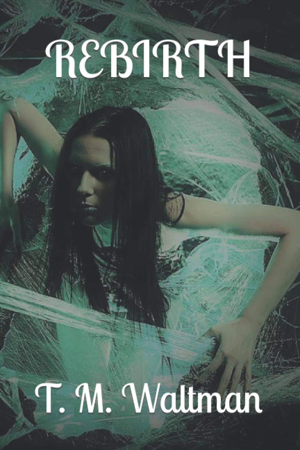 Rebirth poster