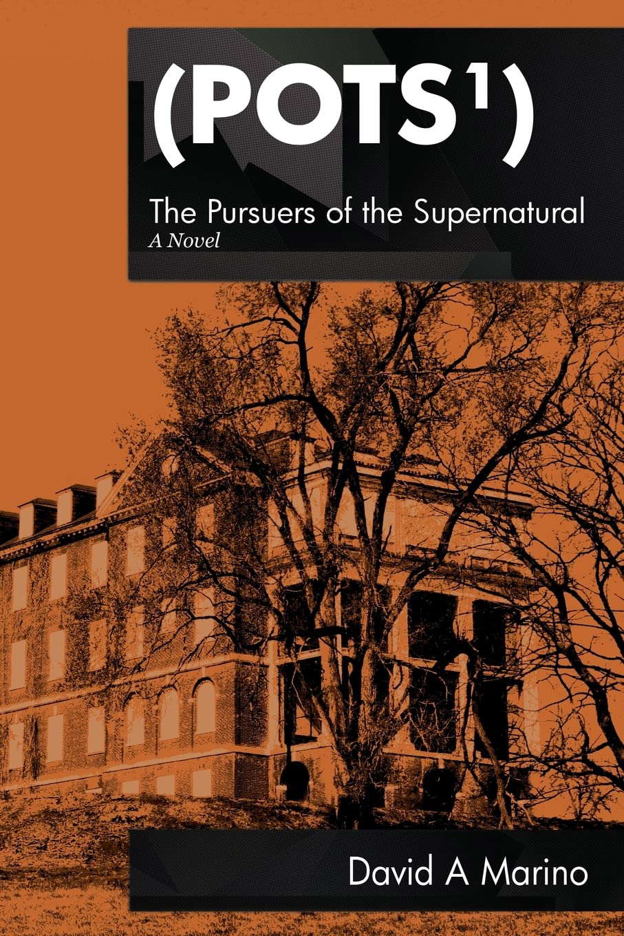The Pursuers of the Supernatural (POTS) poster