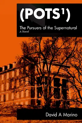 The Pursuers of the Supernatural (POTS) poster