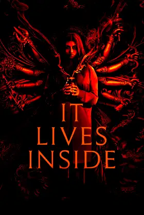 It Lives Inside poster