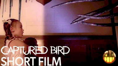 "The Captured Bird" Horror Short Film — Crank's Picks presented by Cranked Up Films poster