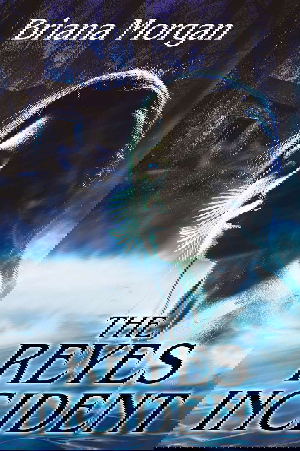 The Reyes Incident poster