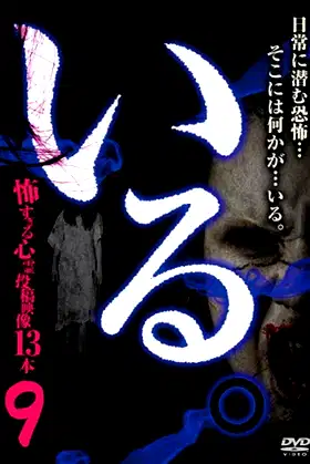 「Iru.」~ Kowasugiru Tōkō Eizō 13-hon ~ Vol.9 poster