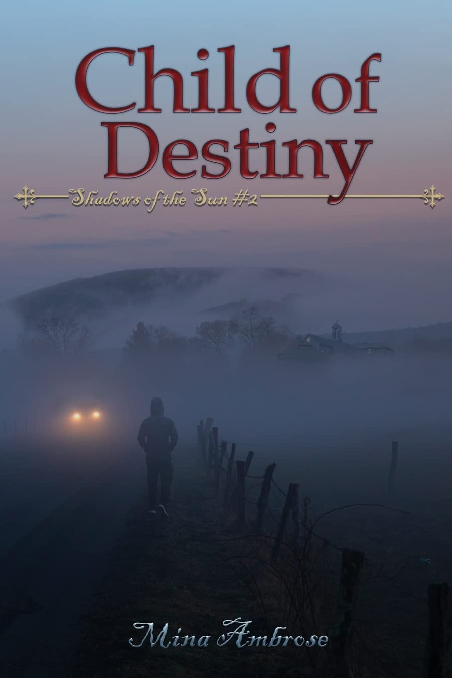 Child of Destiny (Shadows of the Sun) poster