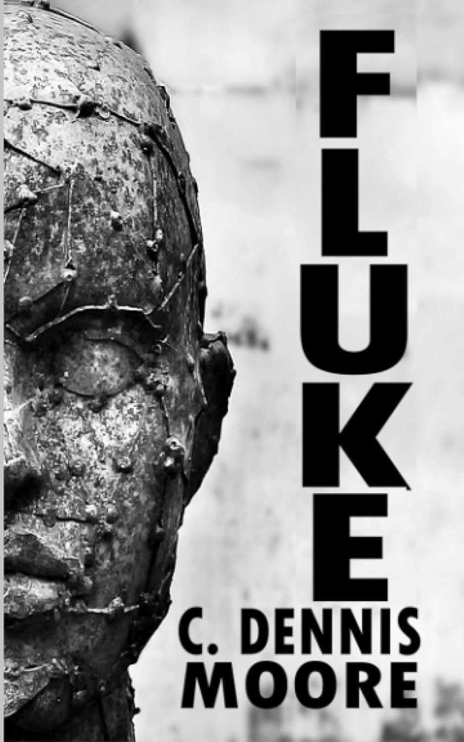 Fluke poster
