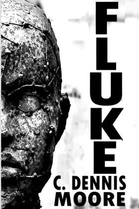Fluke poster