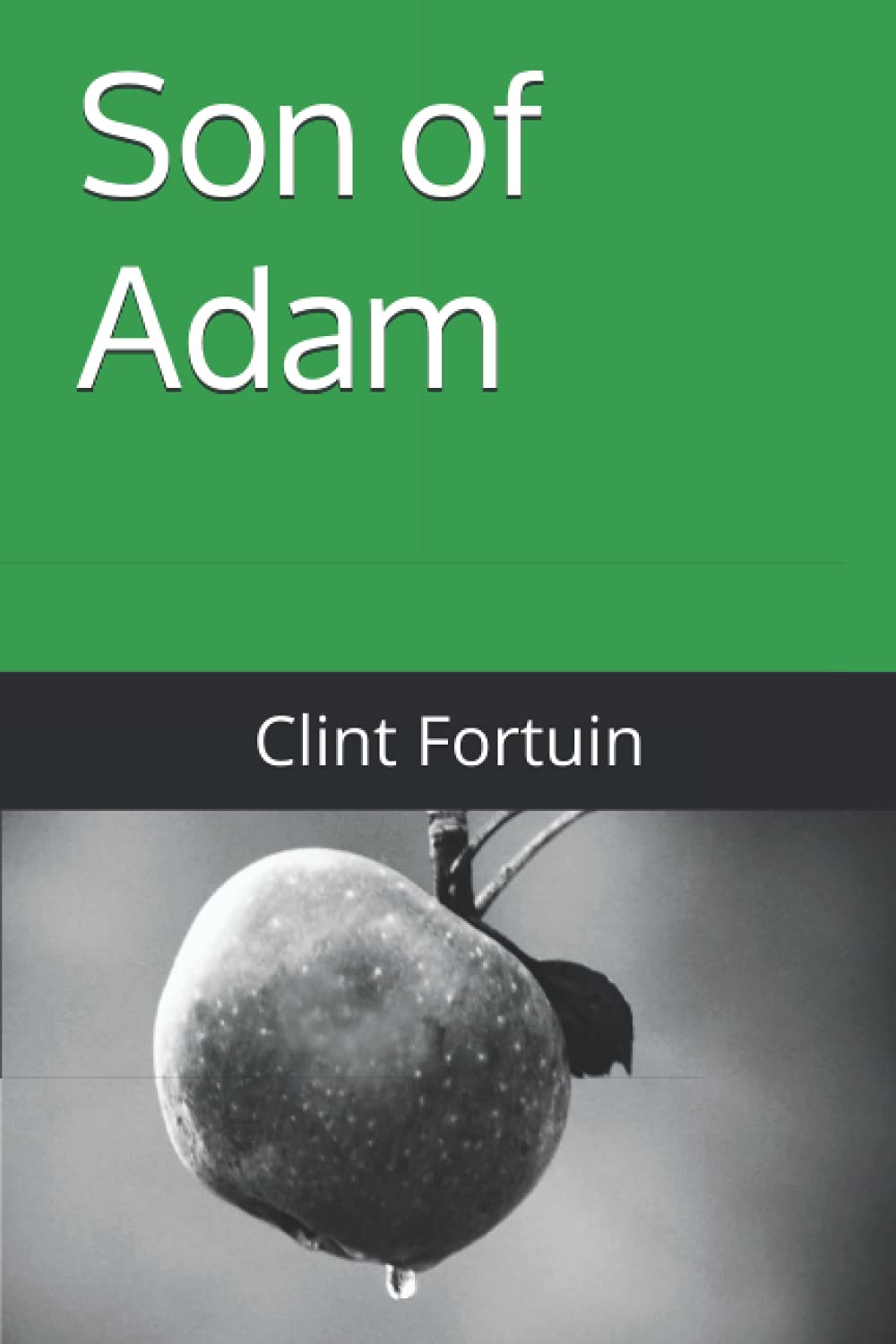 Son of Adam (Regent series) poster