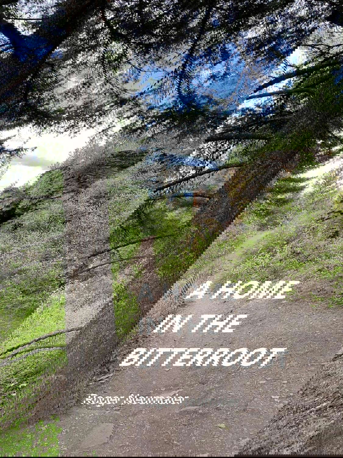 A Home in the Bitterroot poster