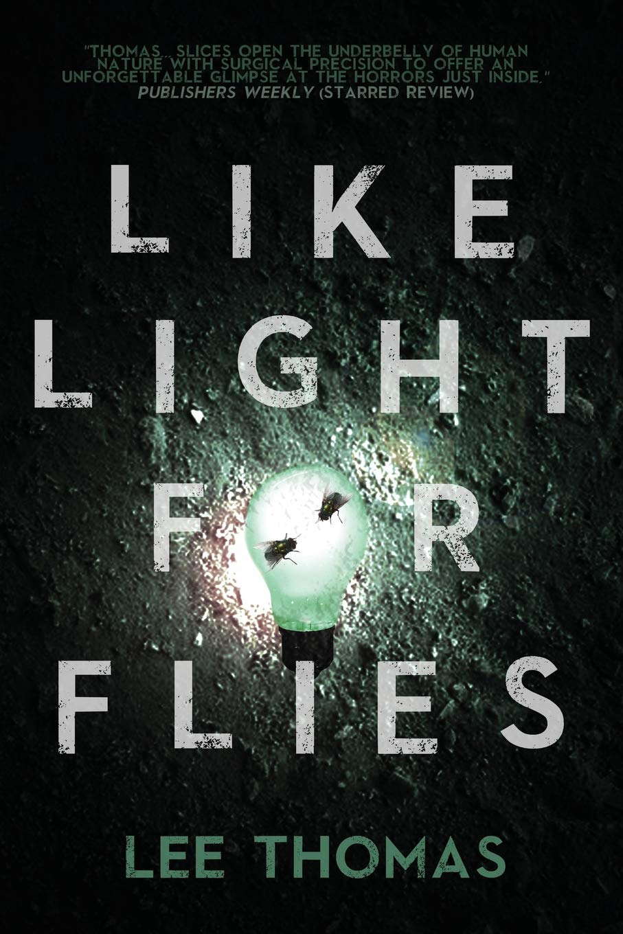 Like Light for Flies: Stories poster