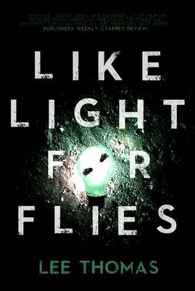 Like Light for Flies: Stories poster