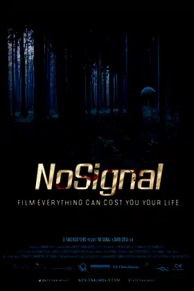 No Signal poster