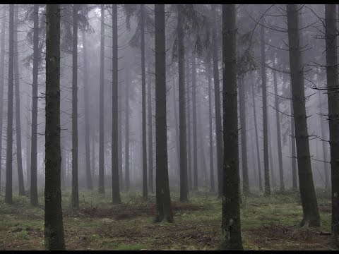 Found Footage Horror 2: The Search for Documentary