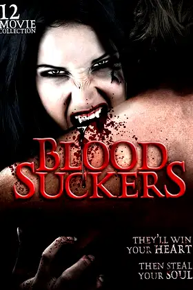 A Vampire's Tale poster