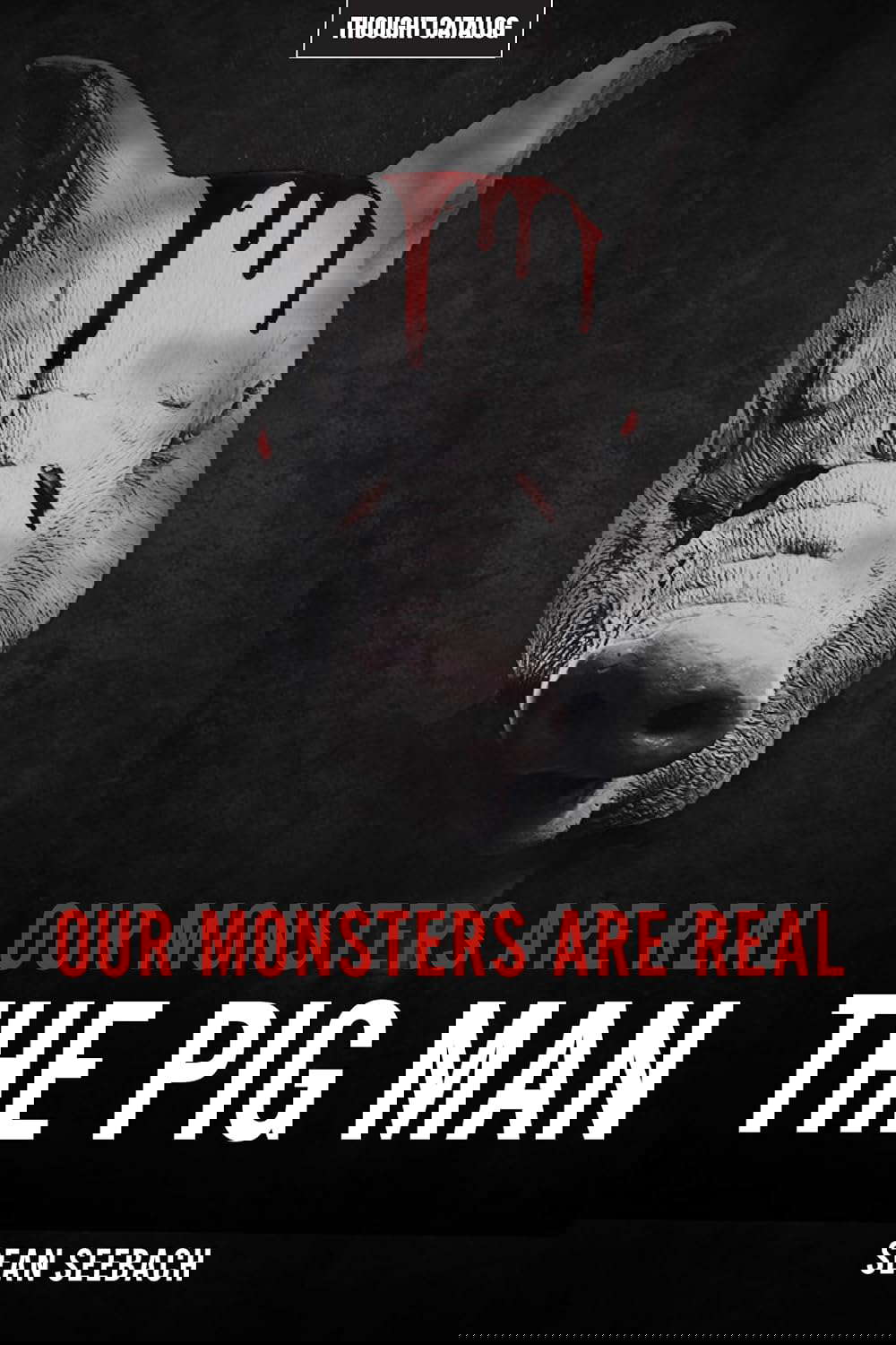 Our Monsters Are Real: The Pig Man poster