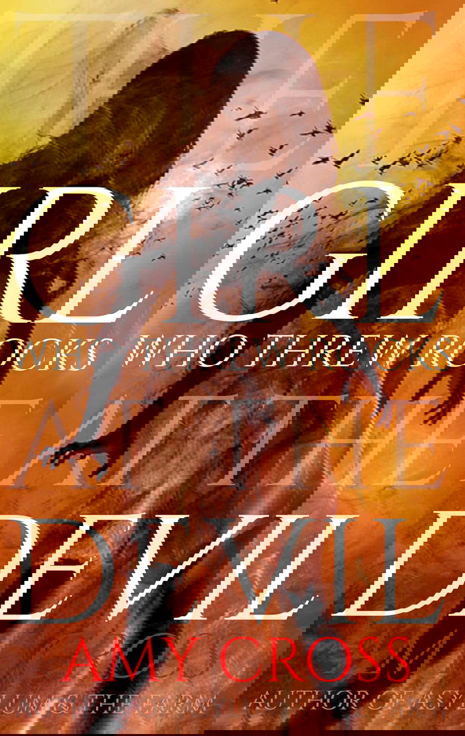 The Girl Who Threw Rocks at the Devil poster