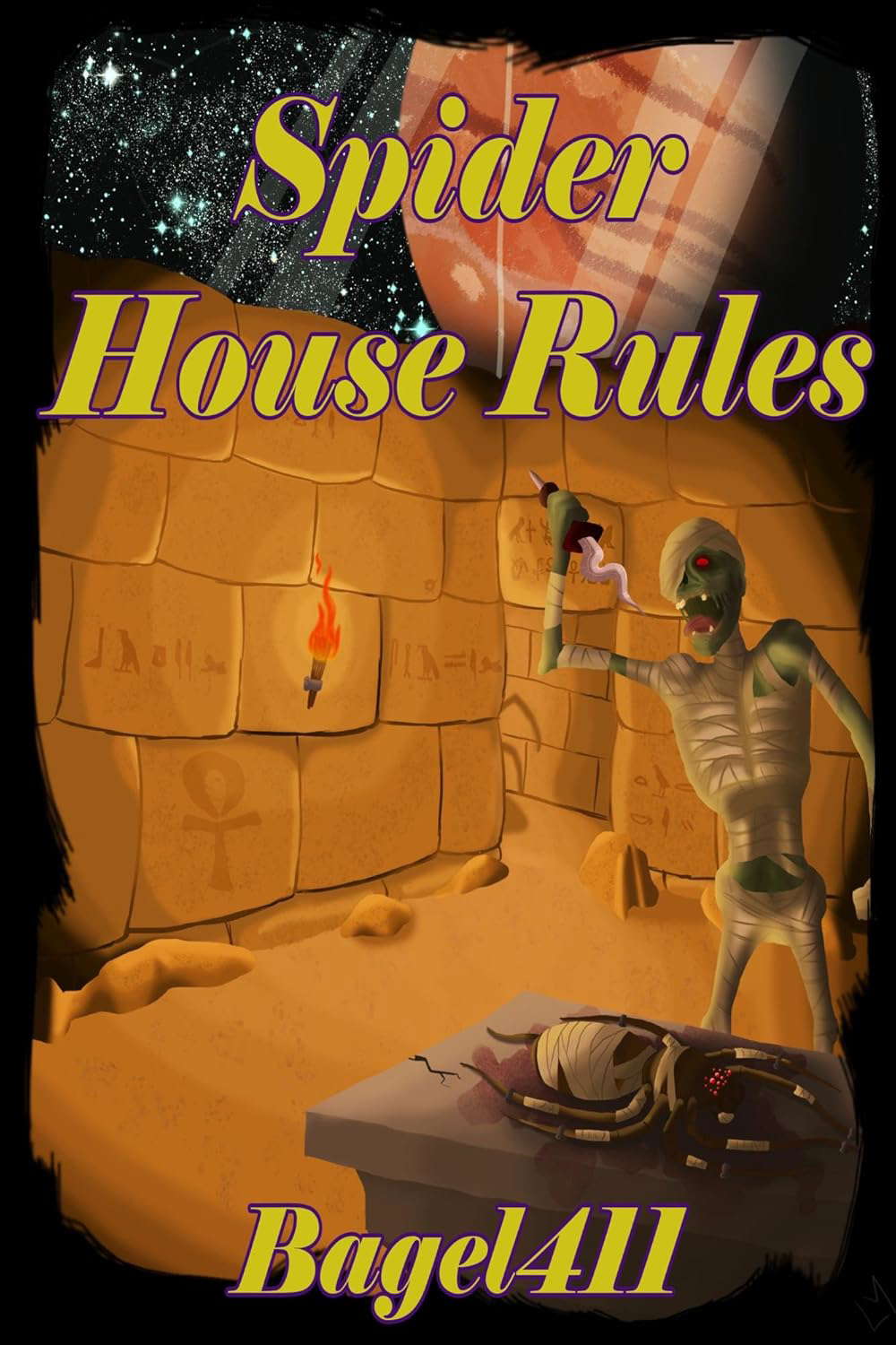 Spider House Rules poster