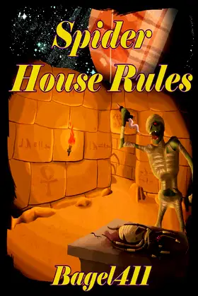 Spider House Rules poster